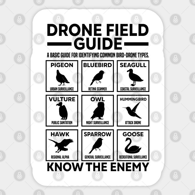 Bird Drone If it flies it spies Birds aren't real Birds Arent Real